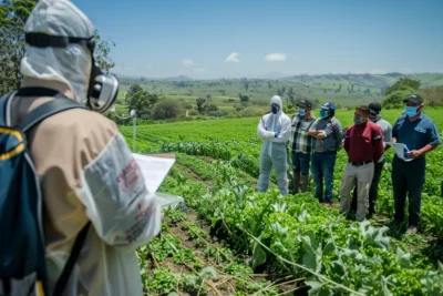 Capacitacion en Fumigacion Agricola Cursos y Certificaciones Necesarias