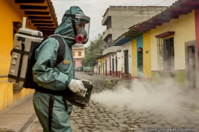 Fumigacion urbana para el control de roedores estrategias y recomendaciones